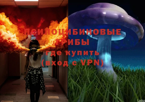мяу мяу мука Беломорск
