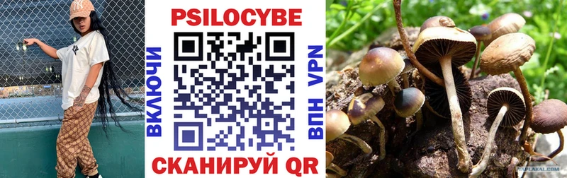 ссылка на мегу ссылка  купить наркотик  Кондрово  Псилоцибиновые грибы прущие грибы 