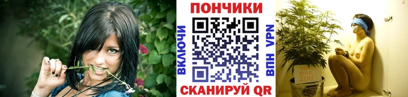 где купить наркотик  Кондрово  ссылка на мегу вход  Бошки марихуана конопля 
